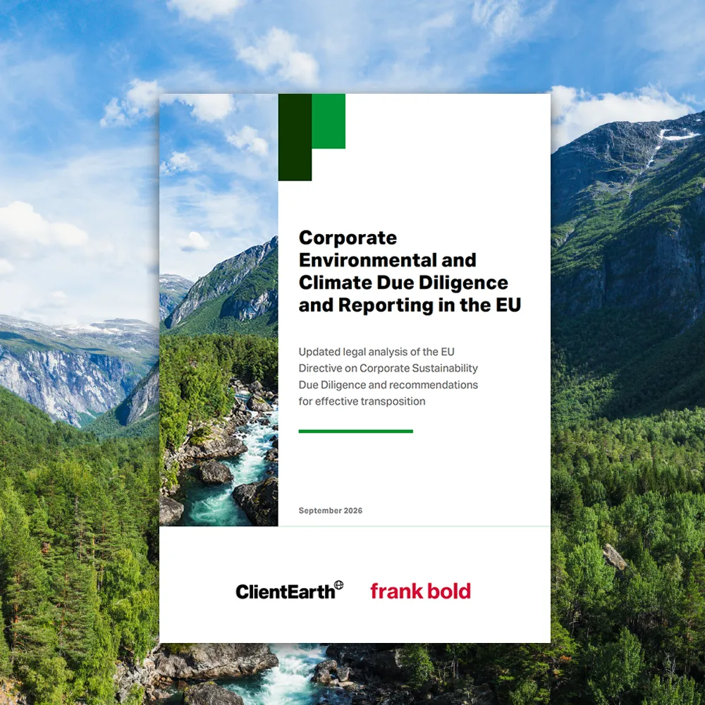 ClientEarth-CSDDD-report Data centres